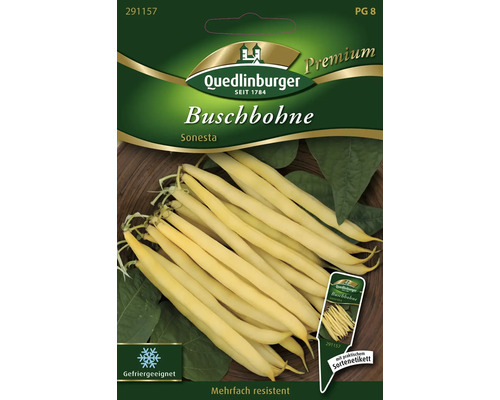 Buschbohne 'Sonesta' Quedlinburger samenfestes Saatgut Gemüsesamen