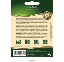 Levkoje Duftbouquet Samenpackung
