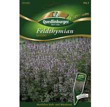 Feldthymian Quendel Saatgutpackung