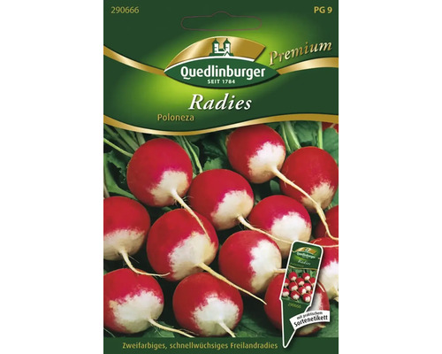 Radieschen 'Poloneza' Quedlinburger Gemüsesamen