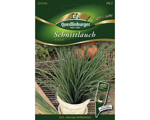 Schnittlauch Polyvit Samen – Mittelgrobröhrig, Wüchsig & Bienenfreundlich