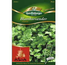 Blattkoriandersamenpackung von Quedlinburger