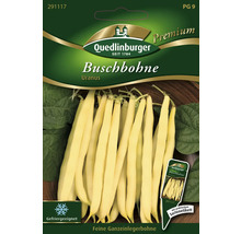 Samenpackung Buschbohne Uranus von Quedlinburger