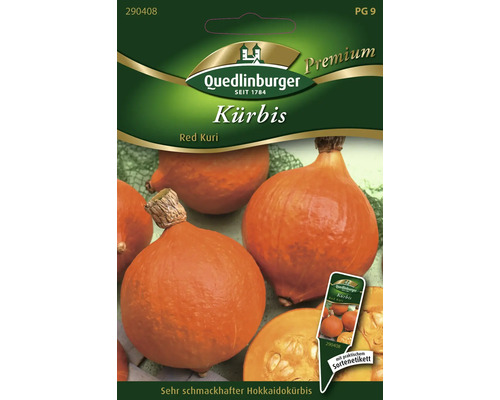 Kürbis 'Red Kuri' Quedlinburger Gemüsesamen