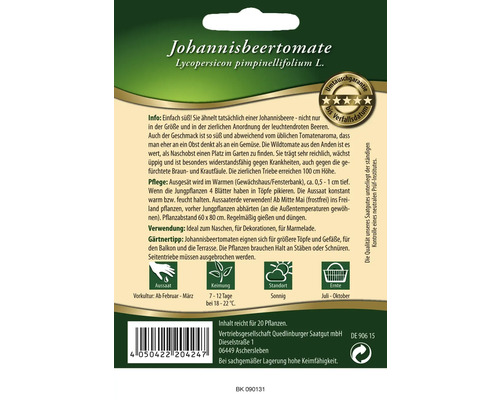 Samenpackung Johannisbeertomate