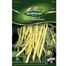 Quedlinburger Buschbohne Golden Teepee Samenpackung