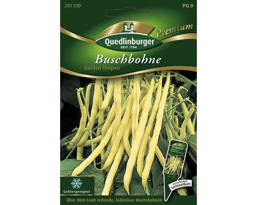 Buschbohne 'Golden Tepee' Quedlinburger samenfestes Saatgut Gemüsesamen