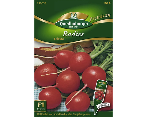 Radieschen 'Celesta' Quedlinburger Gemüsesamen