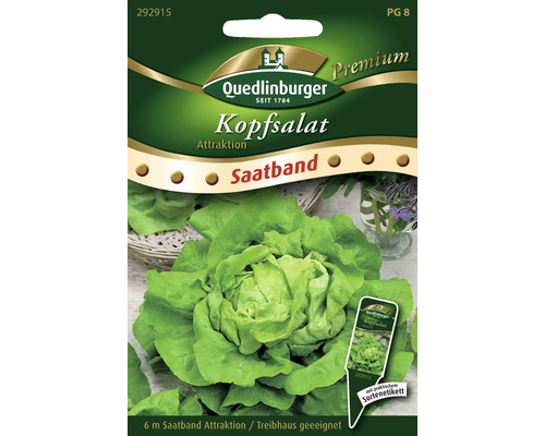Kopfsalat 'Attraktion' Quedlinburger Salatsamen Saatband