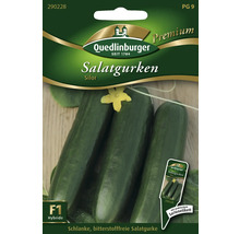 Salatgurkensamenpackung der Marke Quedlinburger