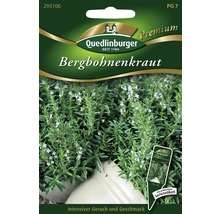 Bergbohnenkraut-Samenpackung von Quedlinburger