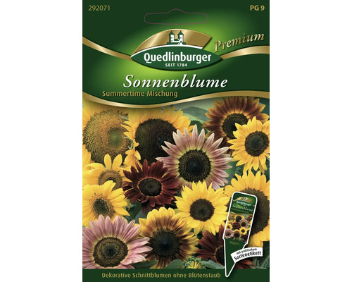 Sonnenblume 'Summertime Mischung' Quedlinburger Blumensamen