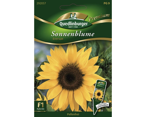 Sonnenblume 'Eversun' Quedlinburger Blumensamen