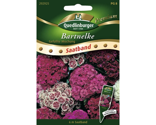 Bartnelke 'Gefüllte Mischung' Quedlinburger Blumensamen Saatband
