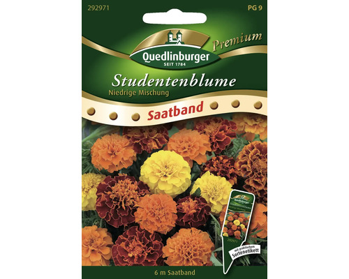 Studentenblume niedrige Mischung Quedlinburger Blumensamen Saatband
