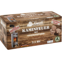 Favorit Kaminfeuer mit Feueranzünder, 2.5 Kilogramm Packung