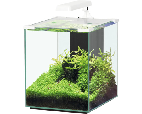 Aquarium aquatlantis Nano Cubic 30 mit Frostglasrückseite, LED-Beleuchtung, Filter, Heizer, Pumpe weiß (ohne Schrank)-0