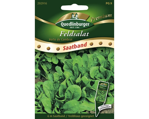 Feldsalat 'Verte de Cambrai' Quedlinburger Salatsamen Saatband