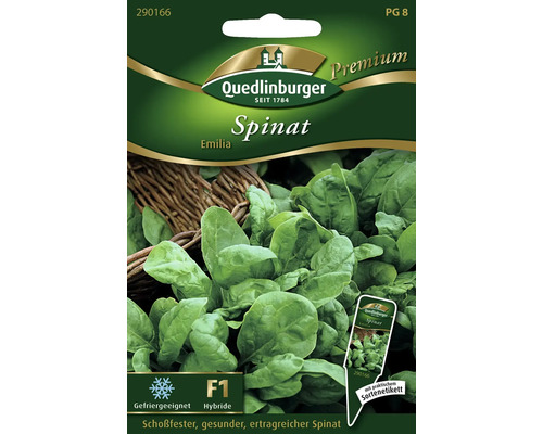 Spinat 'Emilia' Quedlinburger Gemüsesamen