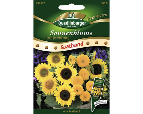 Sonnenblume 'niedrige Mischung' Quedlinburger Blumensamen Saatband