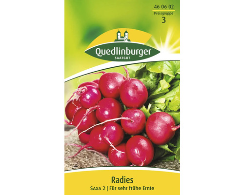 Radieschen 'Saxa 2 ' Quedlinburger Gemüsesamen