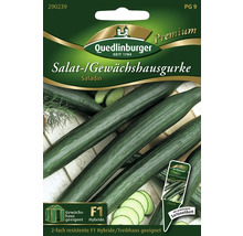 Gewächshausgurke 'Saladin' Quedlinburger Gemüsesamen-thumb-0