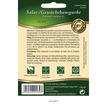 Gewächshausgurke 'Saladin' Quedlinburger Gemüsesamen-thumb-1