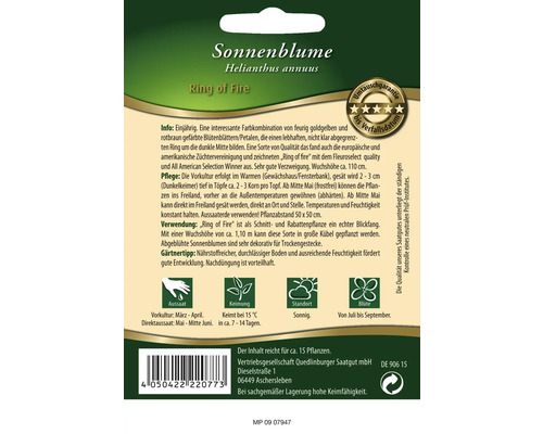 Sonnenblumen Ring of Fire Samenpackung