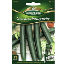 Samenpackung Gewächshausgurke Marumba der Marke Quedlinburger