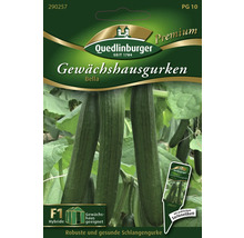 Gewächshausgurke 'Bella' Quedlinburger Gemüsesamen-thumb-0