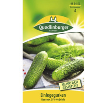 Einlegegurken Saatgutpackung von Quedlinburger