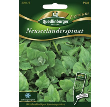 Neuseeländerspinat Gemüsesamen Quedlinburger