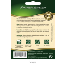 Neuseeländerspinat Gemüsesamen Quedlinburger