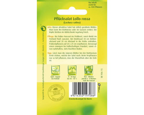Pflücksalat Lollo rossa Saatgutpackung