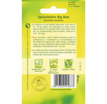 Speisekürbis Big Max Saatgutpackung