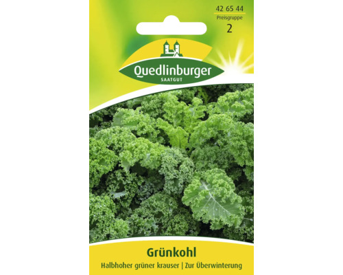 Grünkohl 'Halbhoher güner krauser' Quedlinburger Gemüsesamen Grünkohl-Samenpackung von Quedlinburger