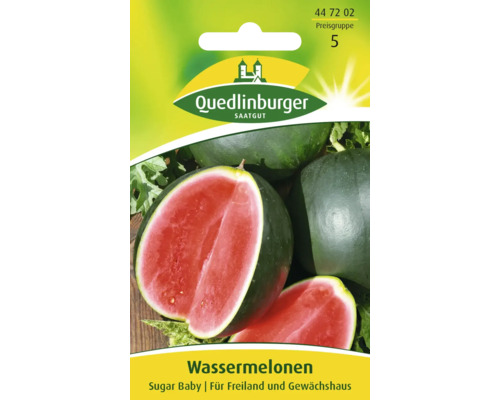 Wassermelone 'Sugar Baby' Quedlinburger