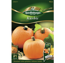 Quedlinburger Kürbis Sweet Jack Samenpackung