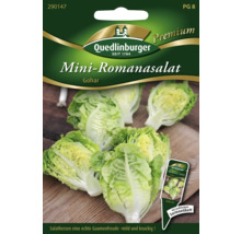 Quedlinburger Mini-Romanasalat Samenpackung