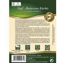 Topf Butternut Kürbis Saatgutpackung