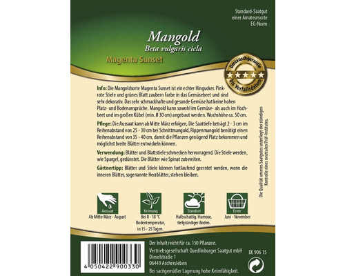 Mangold Saatgut der Sorte Beta vulgaris cicla Magenta Sunset für circa 150 Pflanzen