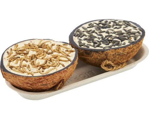 Wildvogelfutter Halbkokosnüsse 400g Wildvogelfutter Halbkokosnüsse 400g