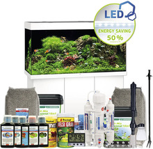 Komplettes Aquariumset mit Unterschrank, LED-Beleuchtung, Filter, Heizung, Bodengrund, Wasseraufbereiter, Dünger und Futter