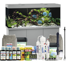 Komplettes Aquarium-Set mit Fischen, Pflanzen und Zubehör