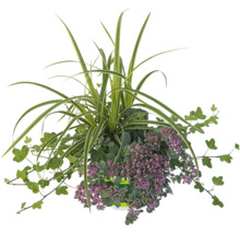 Arrangement aus Zierpflanzen für den Außenbereich