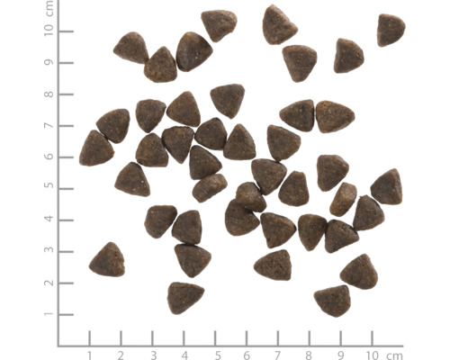 Hundefutter-Kroketten auf einem Messlineal