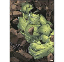 Leinwandbild Hulk 50x70 cm