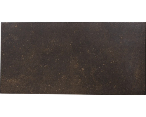 Wandpaneel XPS Iron Großpack 40 Stk. 100 x 50cm Dekorative Wandfliese für den Innenbereich