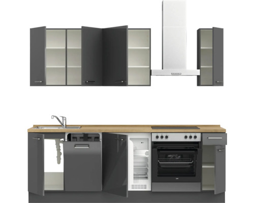 Komplette Küchenzeile mit Spüle, Geschirrspüler, Kühlschrank, Backofen, Kochfeld, Dunstabzugshaube und Schränken