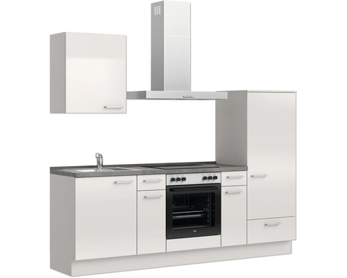 Einbauküche mit Spüle, Herd, Backofen, Dunstabzugshaube und Schränken